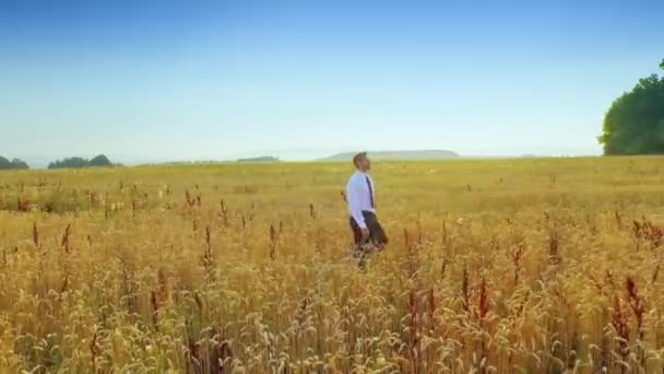 Podnikatel Pšeničné Pole — Stock video