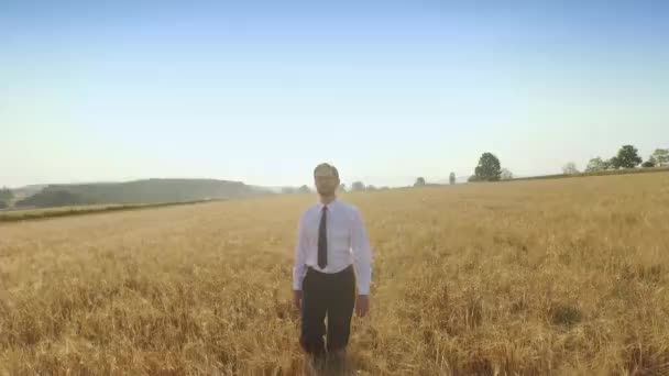 Buğday Alanında Adamı — Stok video