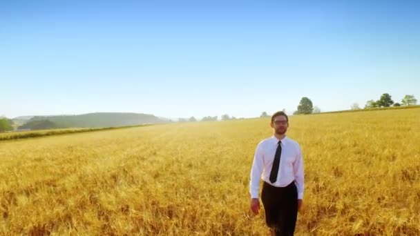 Businessman Wheat Field — Stock Video