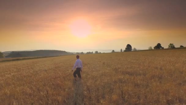 Geschäftsmann Einem Weizenfeld — Stockvideo