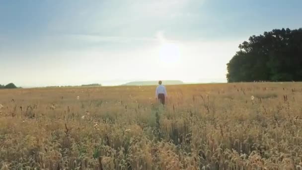 Empresário Campo Trigo — Vídeo de Stock