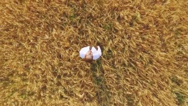 在小麦田中的商人 — 图库视频影像