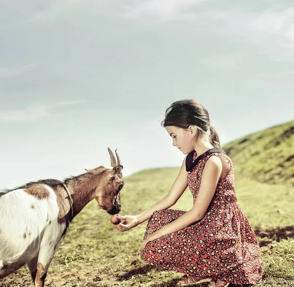 Calma, ragazza allegra che nutre una capra — Foto Stock