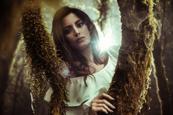 Porträtt av en beautoful dam poserar bland träden Stockfoto
