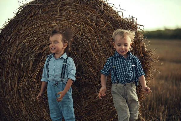 田舎で楽しい二人の愛らしい兄弟 — ストック写真