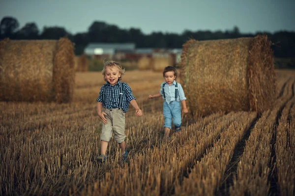 Zwei entzückende Brüder, die Spaß auf dem Land haben — Stockfoto