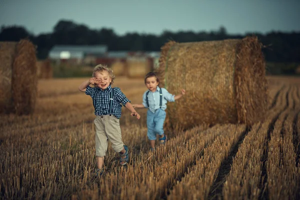 Dos chicos adorables divirtiéndose en el campo — Foto de Stock