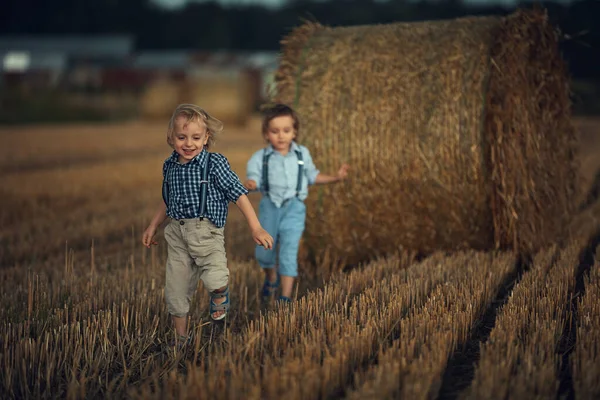 Porträtt av två söta bröder som springer på åkermark — Stockfoto