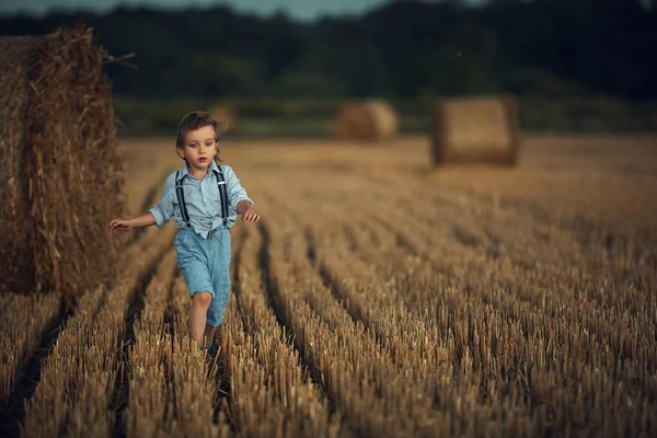 Lindo niño caminando entre las gavillas - tiro al campo — Foto de Stock