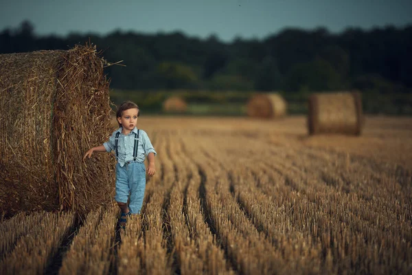 Aranyos kisfiú sétál a kévék között - vidéki lövés — Stock Fotó