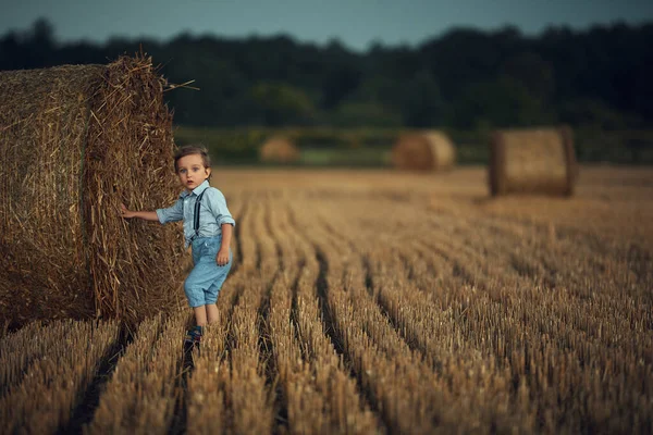 Retrato de un niño adorable posando junto a la gavilla — Foto de Stock