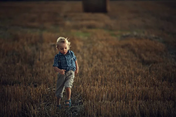 Adorable petit garçon courant sur le champ de maïs — Photo