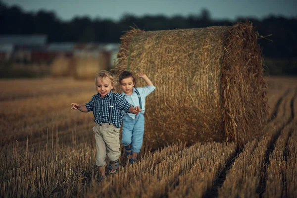 Radosni bracia bliźniacy biegający na farmie Obrazek Stockowy