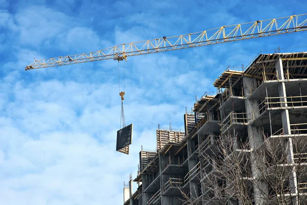 Torre grúa construir edificio alto Imágenes De Stock Sin Royalties Gratis