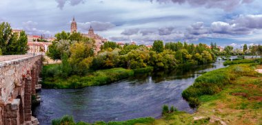 Salamanca Katedrali 'nin ve Tormes nehrinin üzerindeki manzaranın güzel panoramik manzarası. İspanya.