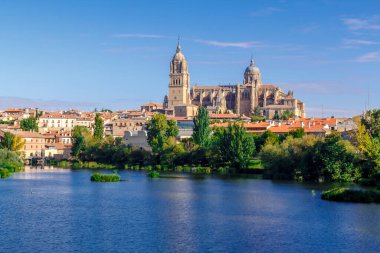 Salamanca / Kastilya ve Leon, İspanya - 02 Ekim 2016: Salamanca Katedrali ve Tormes nehri üzerindeki şehir manzarası.