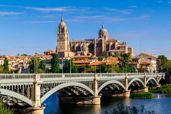 Salamanca Castile Leon Spain October 2016 Salamanca Cathedral Estevan Bridge — стокове фото