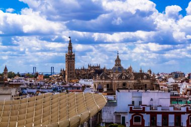 Sevilla, Endülüs, İspanya - 14 Mayıs 2013: Metropol Şemsiyesi 'nden Giralda ile Sevilla Katedrali' ne bakın.
