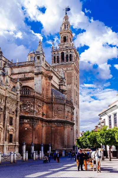 Sevilla Andalusia Spain Травня 2013 Giralda Sevilla Cathedral — стокове фото