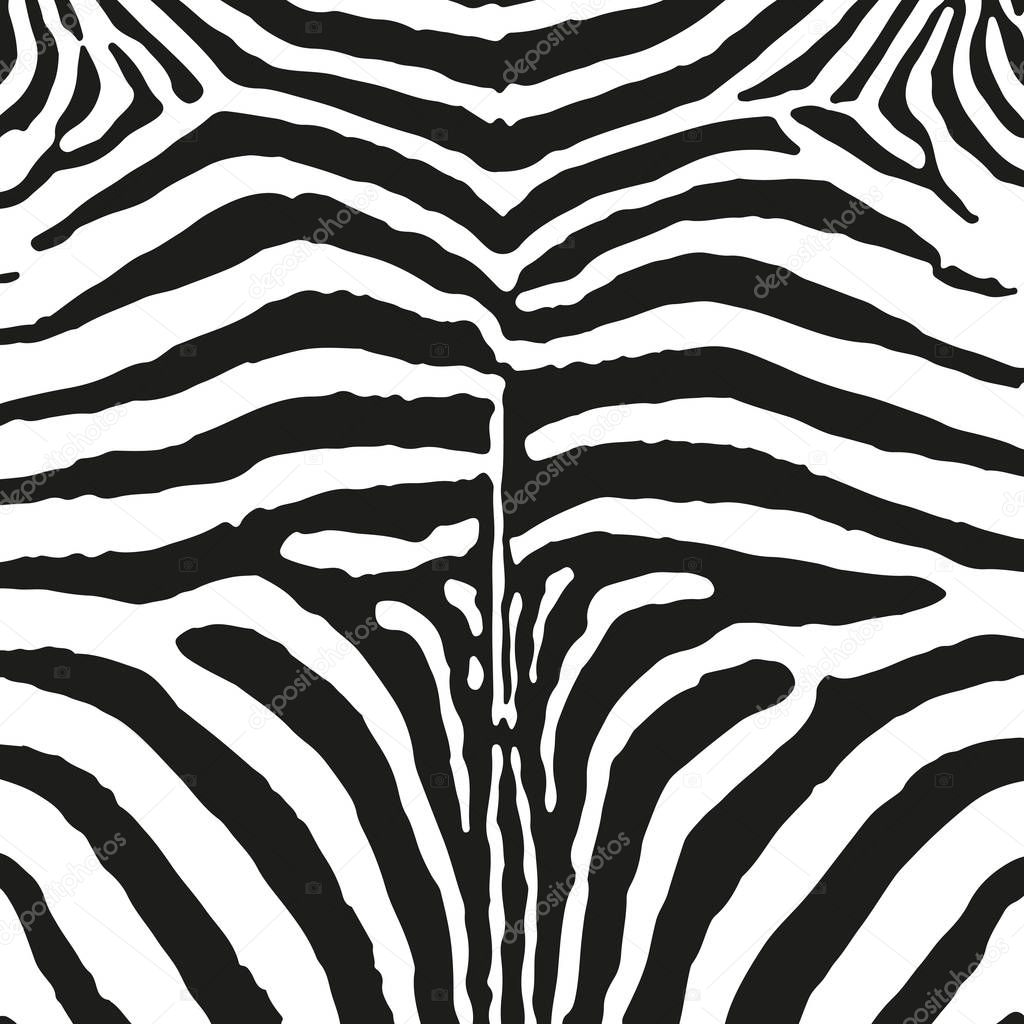 Zebra skin print vector illustration. 