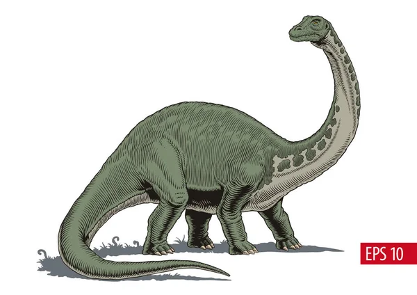 ブロントサウルスまたはディプロドクス恐竜 漫画スタイルのベクトルイラスト — ストックベクタ