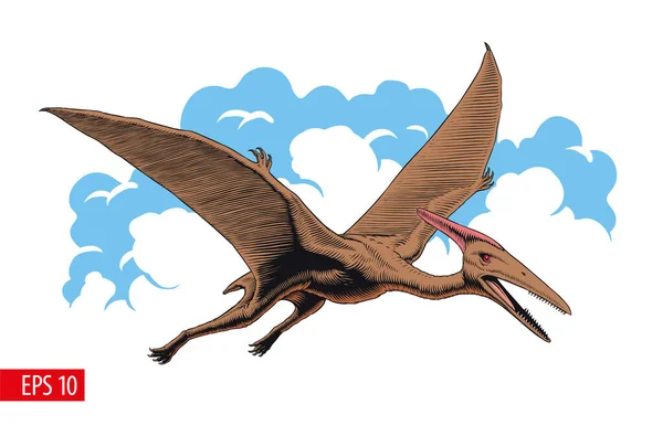 Pterodactyl Veya Pteranodon Uçan Tarih Öncesi Sürüngen Vektör Çizimi — Stok Vektör