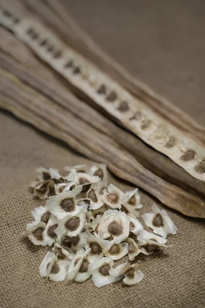 Dried Moringa pods and seeds on sackcloth — Stock Photo, Image