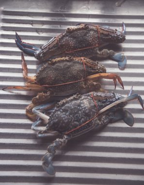 Yemek pişirmek için taze Yengeç