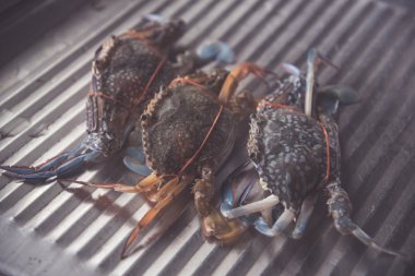 Yemek pişirmek için taze Yengeç