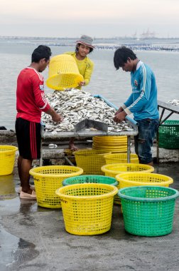 Balıkçı boyutlandırma balık 