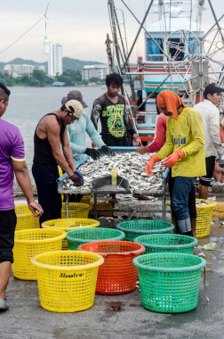Balıkçı boyutlandırma balık 