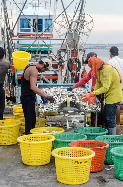 Pescador dimensionar pescado — Foto de Stock