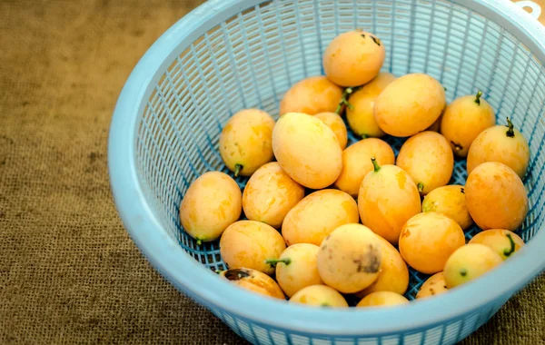 Prune marian dans le panier — Photo