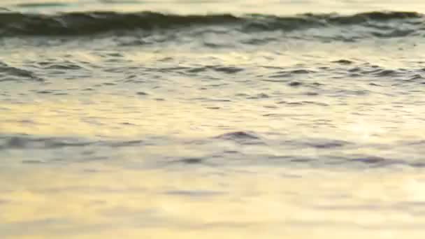 Mare surf con riflesso luce tramonto — Video Stock