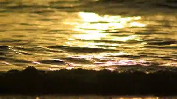 Surf de mer avec reflet de lumière du coucher du soleil — Video