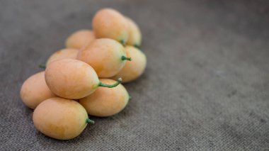 Marian Erik Sim Tarih