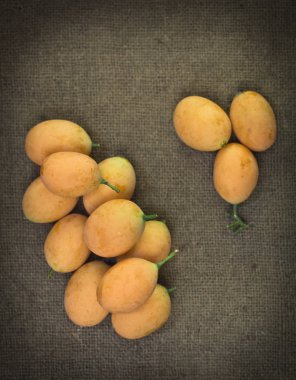 Marian Erik Sim Tarih