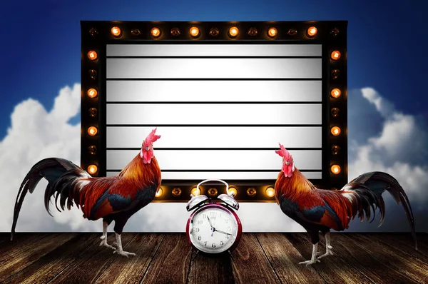 Chicken with message board with light bulb decorate — Stock Photo, Image