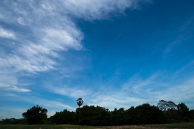 Mavi gökyüzü arka plan ile arazi