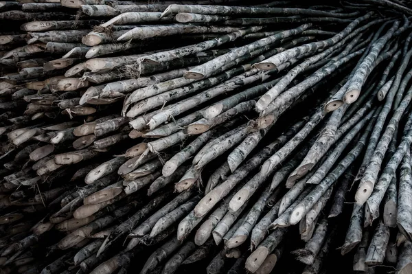 Bambus kolce, materiały drewniane — Zdjęcie stockowe