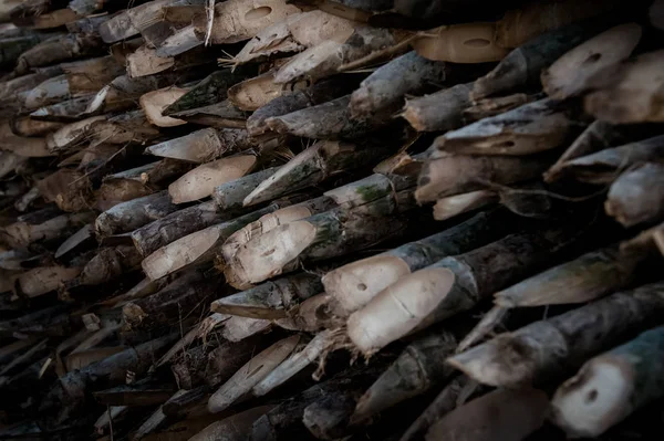 Espinhos de bambu, material de madeira — Fotografia de Stock