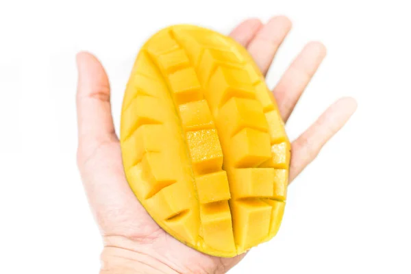 Mango in hand — Stockfoto