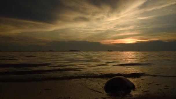 Silhouette noix de coco sur la plage avec coucher de soleil et fond marin — Video