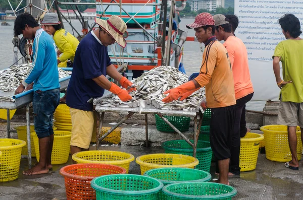 Pescador dimensionar pescado — Foto de Stock