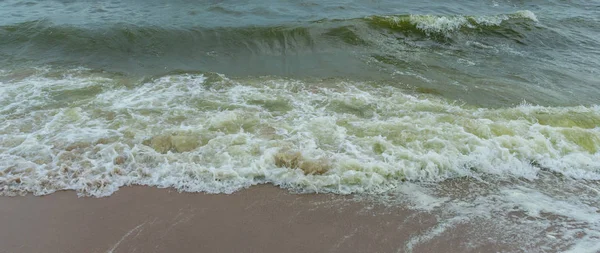 Vague de mer avec plage, Floraison d'algues en mer — Photo