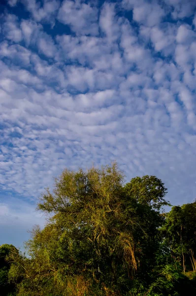 Nuvens agradáveis com árvore agradável no chão — Fotografia de Stock