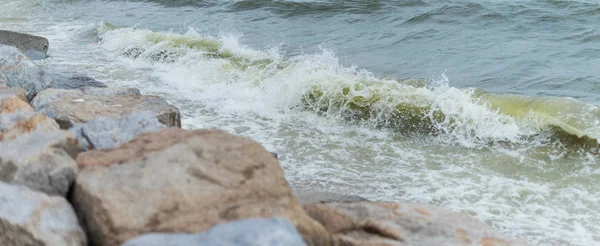 Vague de mer avec plage, Floraison d'algues en mer — Photo