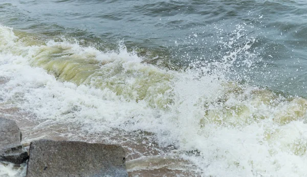 Морская волна с пляжем, водоросли цветут в море — стоковое фото