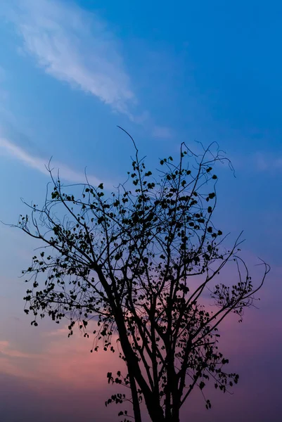 Céu dramático com silhueta em primeiro plano — Fotografia de Stock