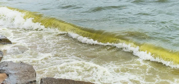 Meereswelle mit Strand, Algenblüte im Meer — Stockfoto